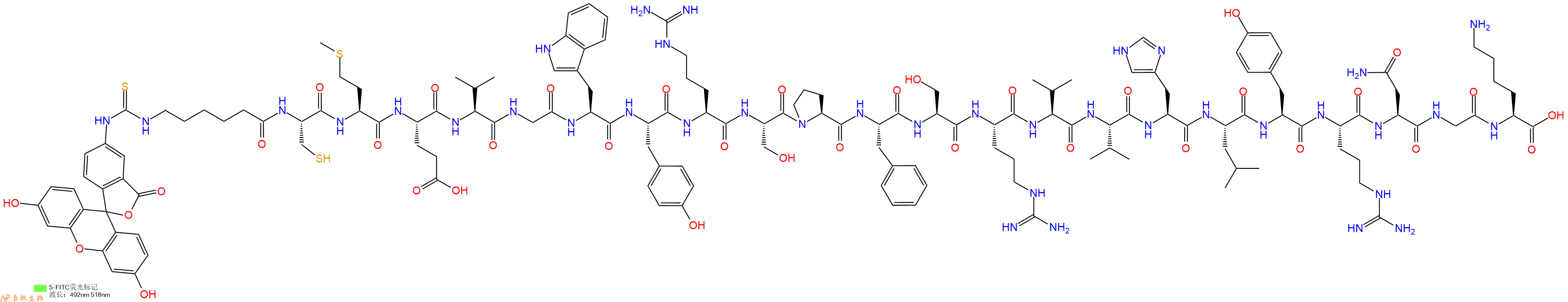 专肽生物产品5FITC-Ahx-Cys-Met-Glu-Val-Gly-Trp-Tyr-Arg-Ser-Pro-Phe-Ser-Arg-Val-Val-His-Leu-Tyr-Arg-Asn-Gly-Lys-COOH