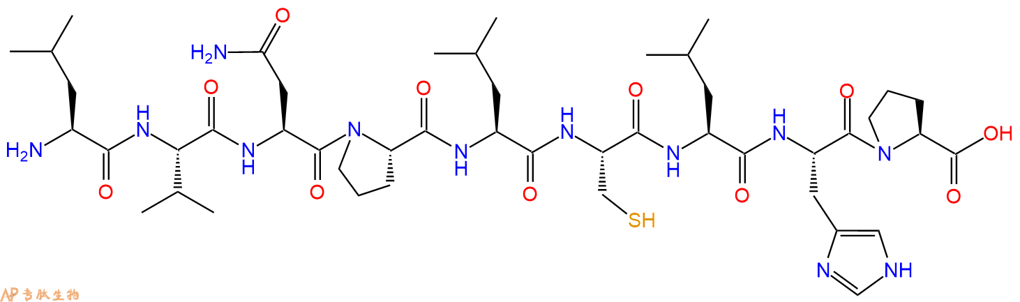 专肽生物产品H2N-Leu-Val-Asn-Pro-Leu-Cys-Leu-His-Pro-COOH