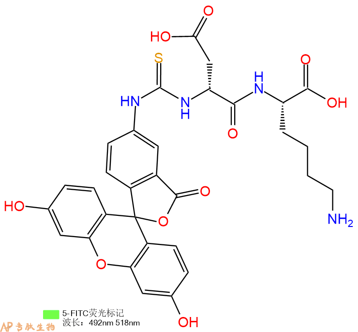 专肽生物产品5FITC-DAsp-Lys-COOH