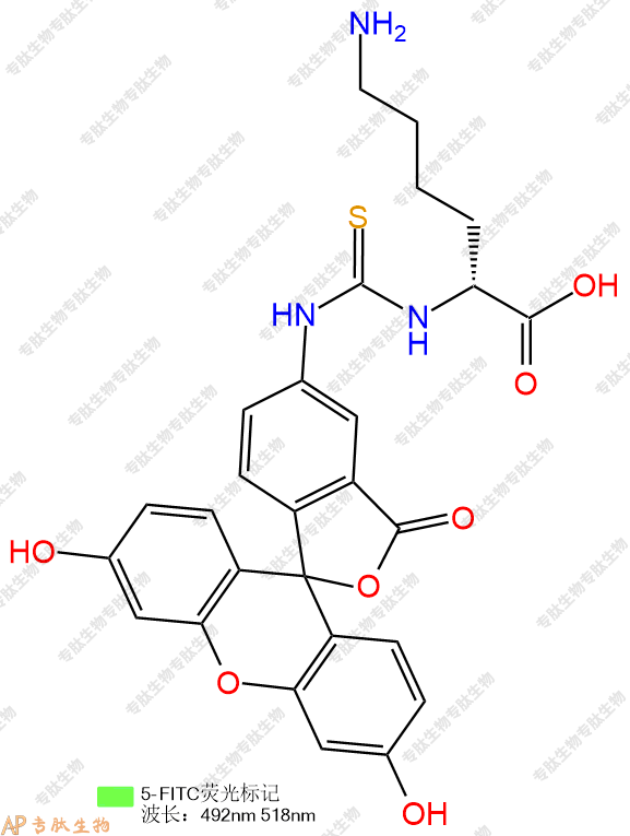 专肽生物产品5FITC-DLys-COOH