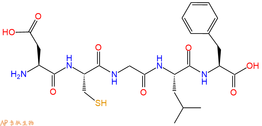 专肽生物产品H2N-Asp-Cys-Gly-Leu-Phe-COOH