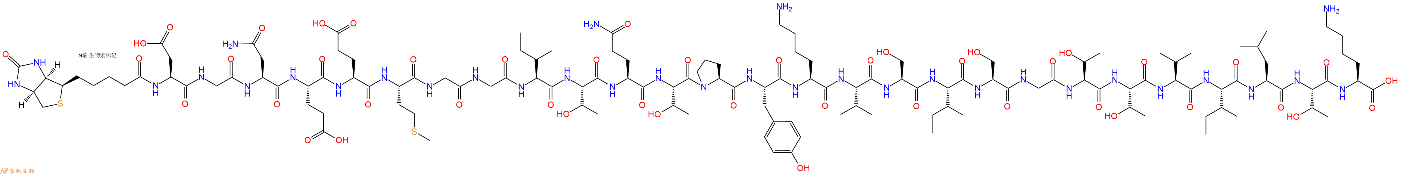 专肽生物产品Biotin-Asp-Gly-Asn-Glu-Glu-Met-Gly-Gly-Ile-Thr-Gln-Thr-Pro-Tyr-Lys-Val-Ser-Ile-Ser-Gly-Thr-Thr-Val-Ile-Leu-Thr-Lys-COOH