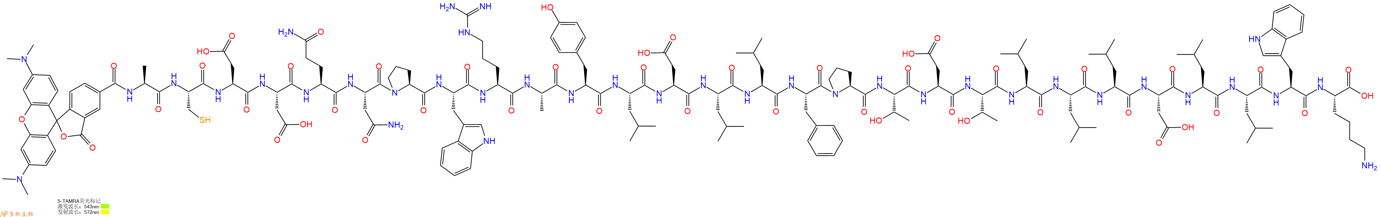 专肽生物产品5TAMRA-Ala-Cys-Asp-Asp-Gln-Asn-Pro-Trp-Arg-Ala-Tyr-Leu-Asp-Leu-Leu-Phe-Pro-Thr-Asp-Thr-Leu-Leu-Leu-Asp-Leu-Leu-Trp-Lys-COOH