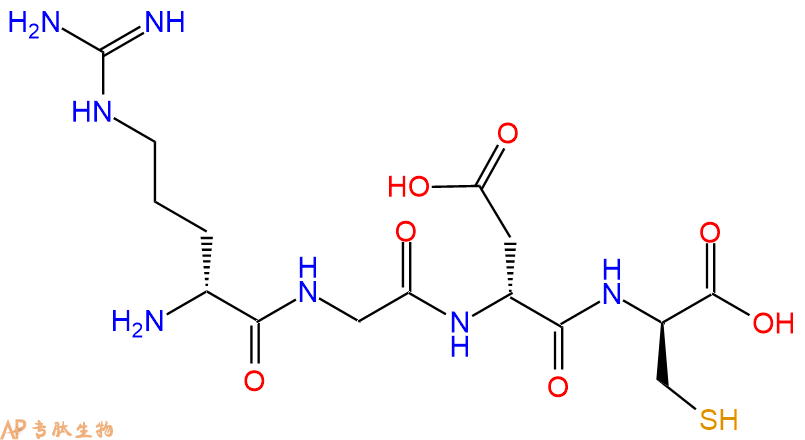 专肽生物产品H2N-DArg-Gly-DAsp-DCys-COOH