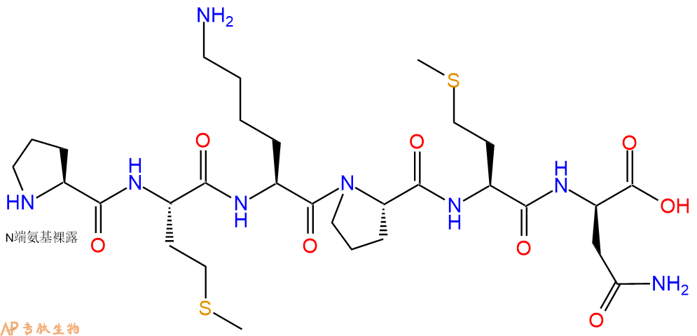 专肽生物产品H2N-Pro-Met-Lys-Pro-Met-DAsn-COOH