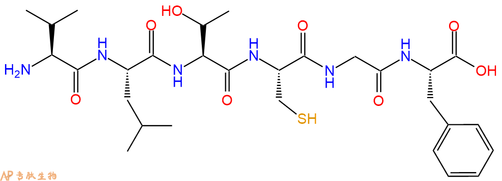专肽生物产品H2N-Val-Leu-Thr-Cys-Gly-Phe-COOH