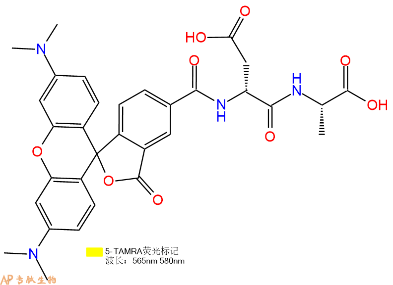 专肽生物产品5TAMRA-DAsp-Ala-COOH