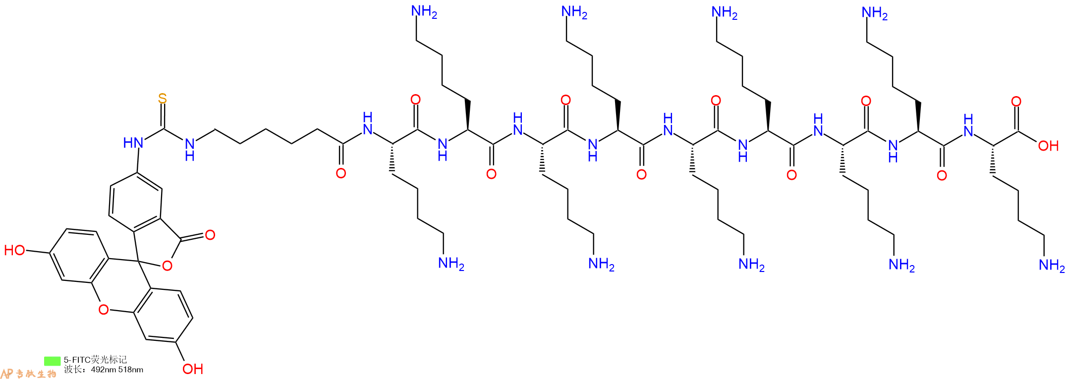 专肽生物产品5FITC-Ahx-Lys-Lys-Lys-Lys-Lys-Lys-Lys-Lys-Lys-COOH