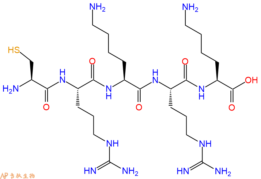 专肽生物产品H2N-Cys-Arg-Lys-Arg-Lys-COOH