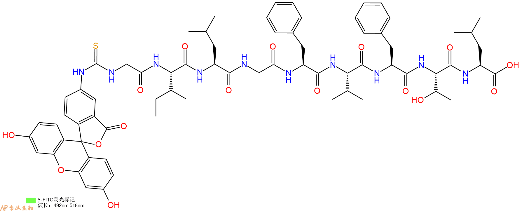 专肽生物产品5FITC-Gly-Ile-Leu-Gly-Phe-Val-Phe-Thr-Leu-COOH
