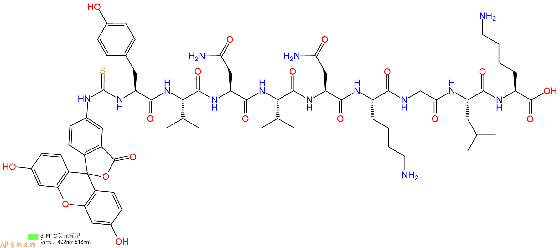 专肽生物产品5FITC-Tyr-Val-Asn-Val-Asn-Lys-Gly-Leu-Lys-COOH