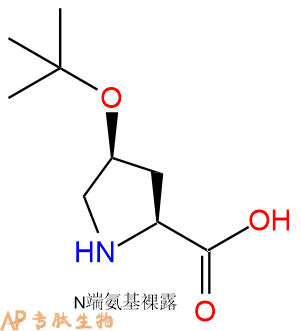 专肽生物产品H2N-Hyp(tBu)-COOH