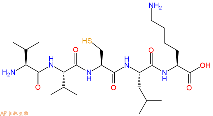 专肽生物产品H2N-Val-Val-Cys-Leu-Lys-COOH
