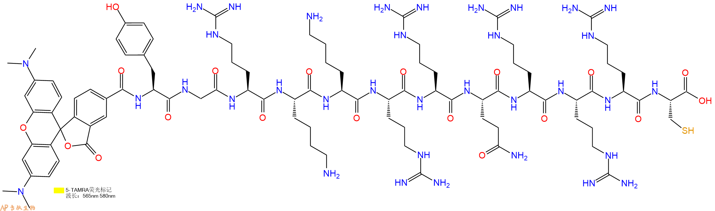 专肽生物产品5TAMRA-Tyr-Gly-Arg-Lys-Lys-Arg-Arg-Gln-Arg-Arg-Arg-Cys-COOH