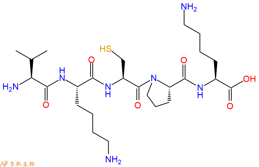 专肽生物产品H2N-Val-Lys-Cys-Pro-Lys-COOH