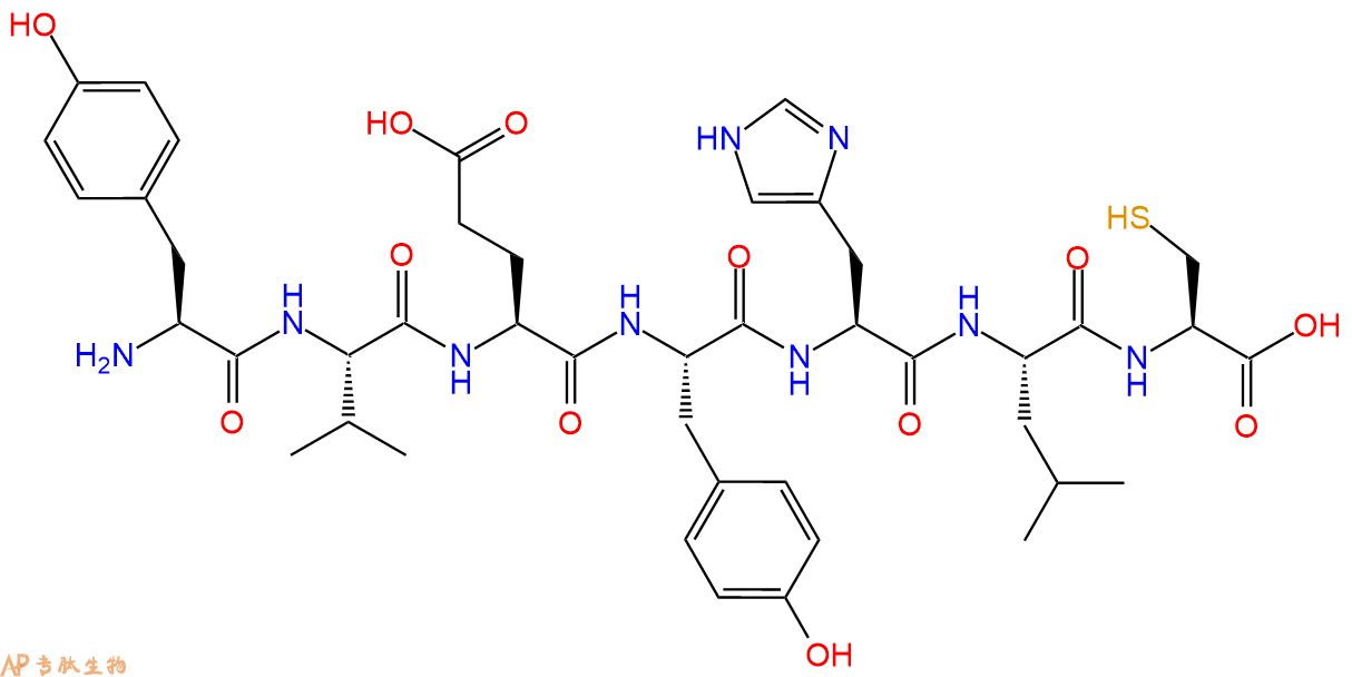 专肽生物产品APN靶向肽：AP-1