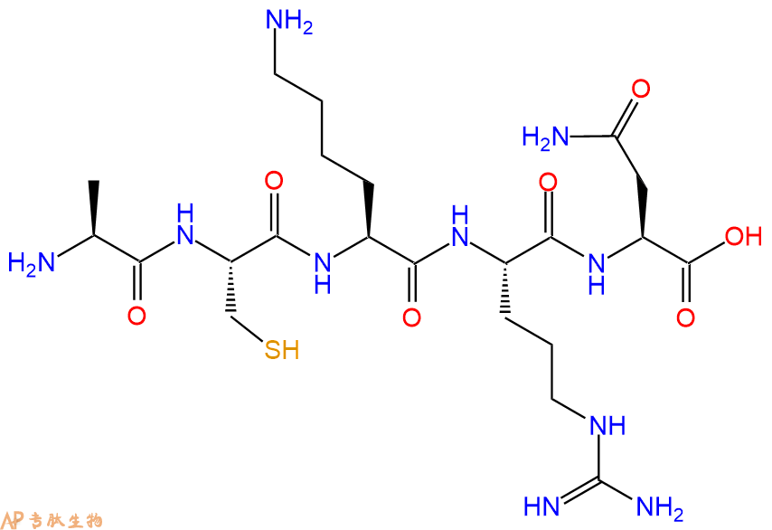 专肽生物产品H2N-Ala-Cys-Lys-Arg-Asn-COOH