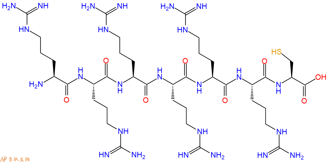 专肽生物产品H2N-Arg-Arg-Arg-Arg-Arg-Arg-Cys-COOH