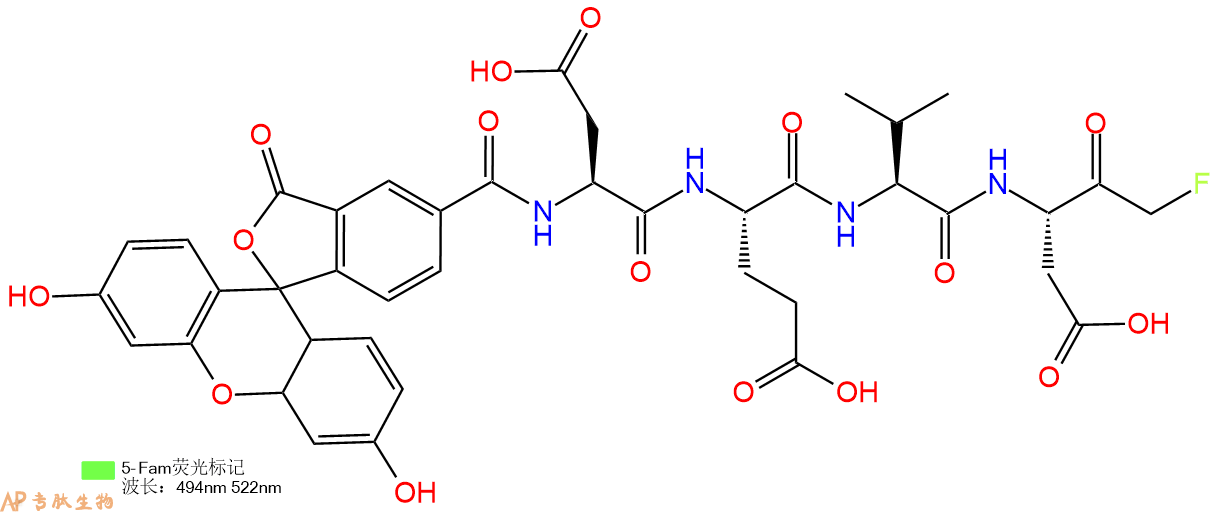 专肽生物产品5FAM-Asp-Glu-Val-Asp-FMK