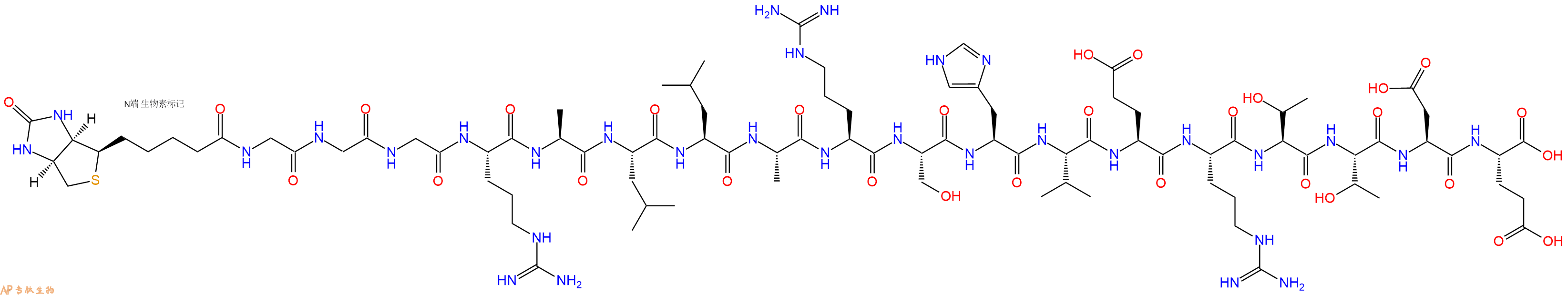 专肽生物产品Biotin-Gly-Gly-Gly-Arg-Ala-Leu-Leu-Ala-Arg-Ser-His-Val-Glu-Arg-Thr-Thr-Asp-Glu-COOH