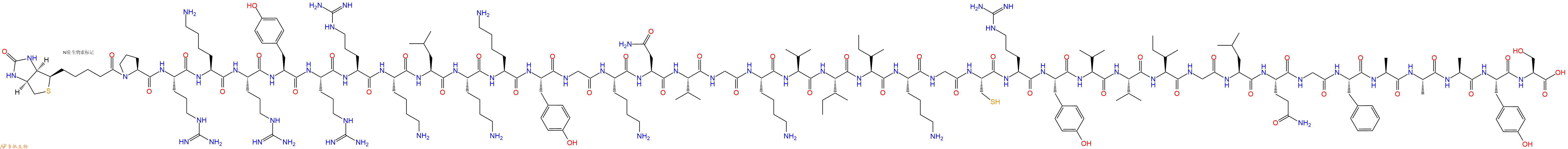 专肽生物产品Biotin-Pro-Arg-Lys-Arg-Tyr-Arg-Arg-Lys-Leu-Lys-Lys-Tyr-Gly-Lys-Asn-Val-Gly-Lys-Val-Ile-Ile-Lys-Gly-Cys-Arg-Tyr-Val-Val-Ile-Gly-Leu-Gln-Gly-Phe-Ala-Ala-Ala-Tyr-Ser-COOH