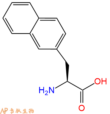 专肽生物产品H2N-Nal-COOH