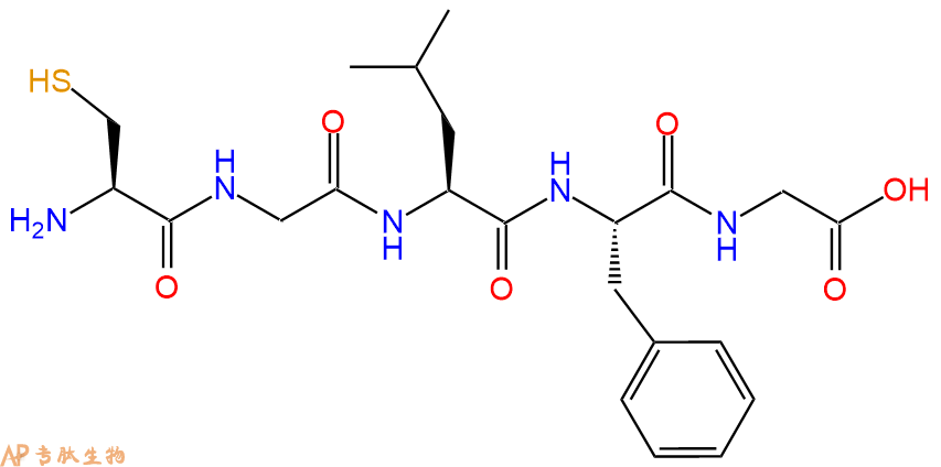 专肽生物产品H2N-Cys-Gly-Leu-Phe-Gly-COOH