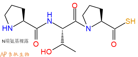专肽生物产品H2N-Pro-Thr-Pro-SH