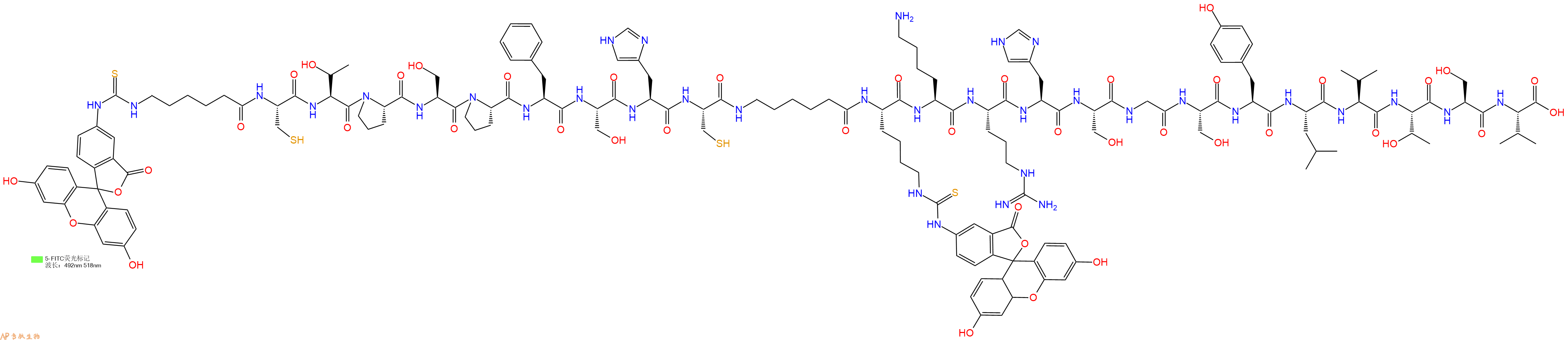 专肽生物产品5FITC-Ahx-Cys-Thr-Pro-Ser-Pro-Phe-Ser-His-Cys-Ahx-Lys(Fitc)-Lys-Arg-His-Ser-Gly-Ser-Tyr-Leu-Val-Thr-Ser-Val-COOH