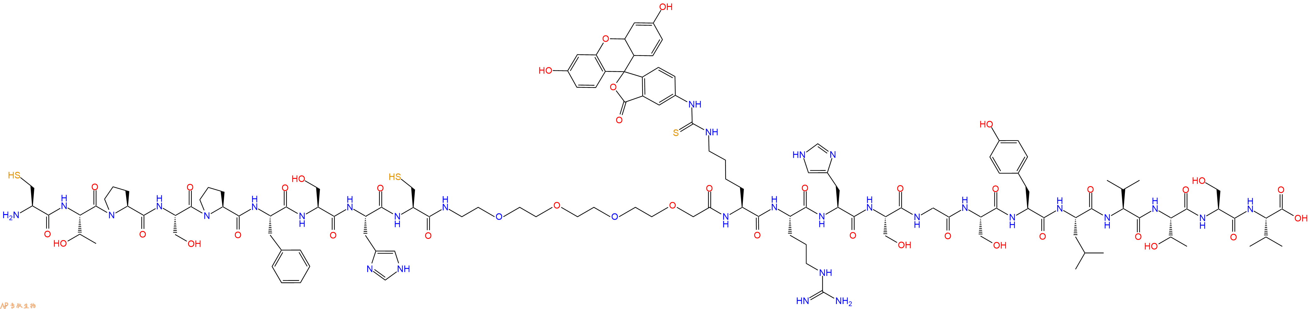 专肽生物产品Cys-Thr-Pro-Ser-Pro-Phe-Ser-His-Cys-PEG4-Lys(Fitc)-Arg-His-Ser-Gly-Ser-Tyr-Leu-Val-Thr-Ser-Val