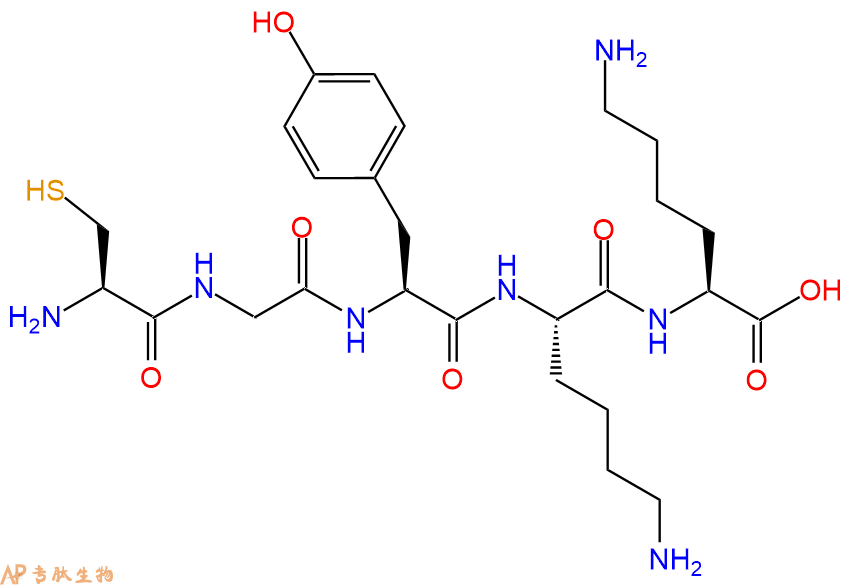 专肽生物产品H2N-Cys-Gly-Tyr-Lys-Lys-COOH