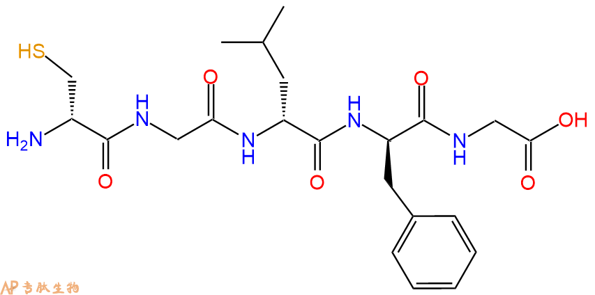 专肽生物产品H2N-DCys-Gly-DLeu-DPhe-Gly-COOH