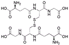 专肽生物产品抗氧化剂：L-谷胱甘肽 (氧化型)、Glutathione oxidized27025-41-8