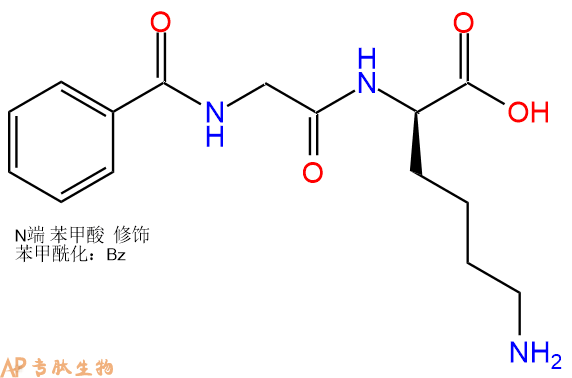 专肽生物产品Benzoyl-Gly-DLys-COOH 108392-04-7