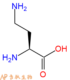 专肽生物产品H2N-Dab-COOH