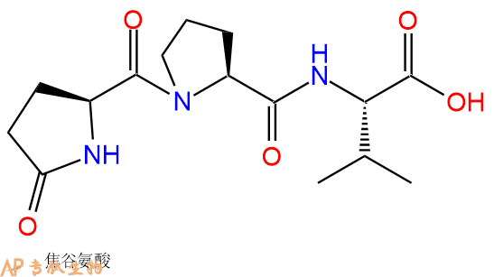 专肽生物产品Pyr-Pro-Val-COOH