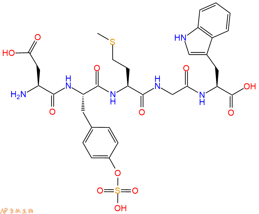 专肽生物产品H2N-Asp-Tyr(SO3H)-Met-Gly-Trp-COOH