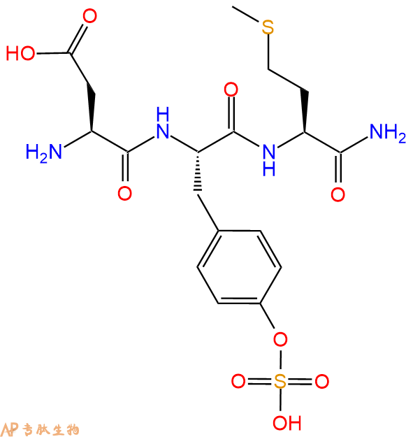 专肽生物产品H2N-Asp-Tyr(SO3H)-Met-NH2