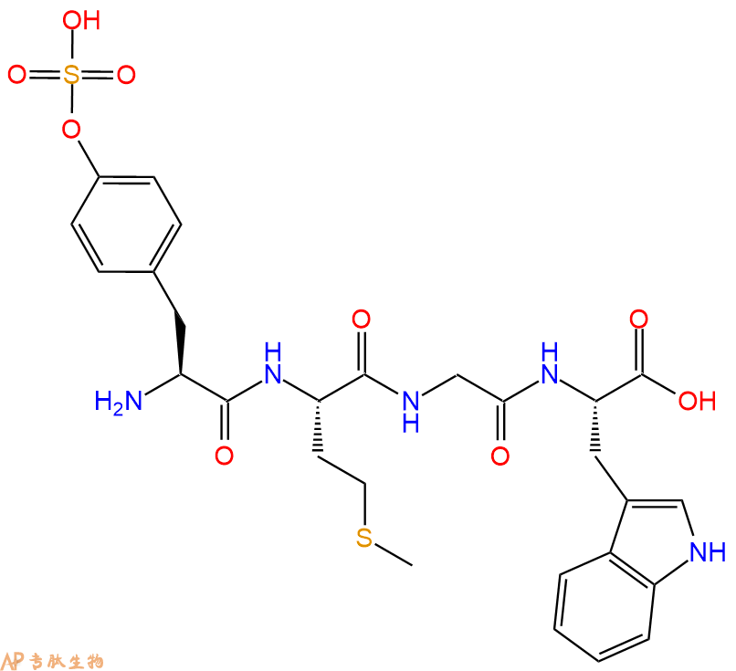 专肽生物产品H2N-Tyr(SO3H)-Met-Gly-Trp-COOH