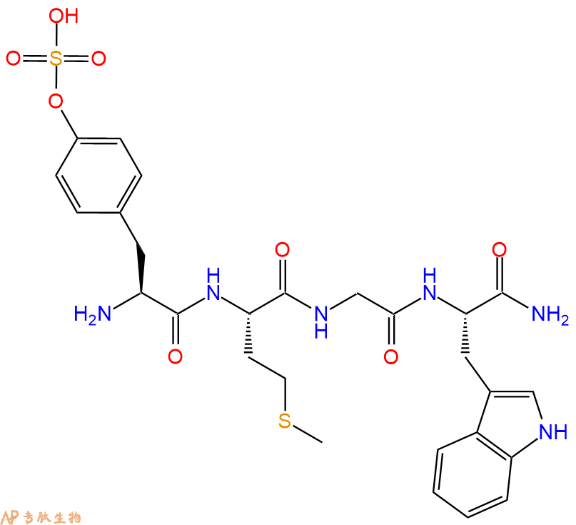 专肽生物产品H2N-Tyr(SO3H)-Met-Gly-Trp-NH2