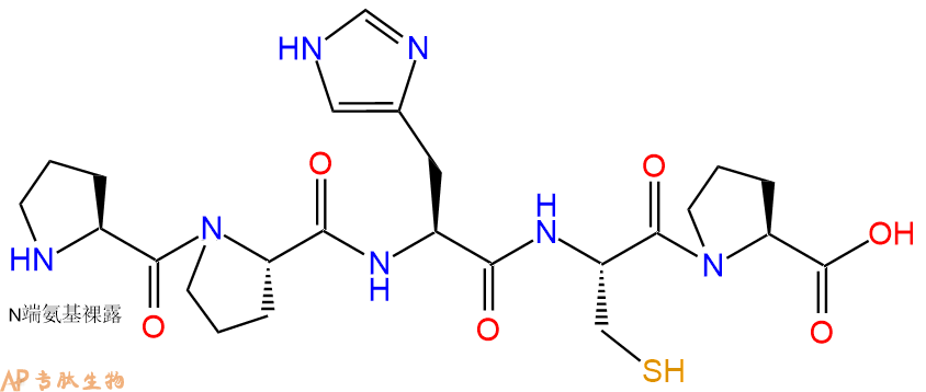 专肽生物产品H2N-Pro-Pro-His-Cys-Pro-COOH
