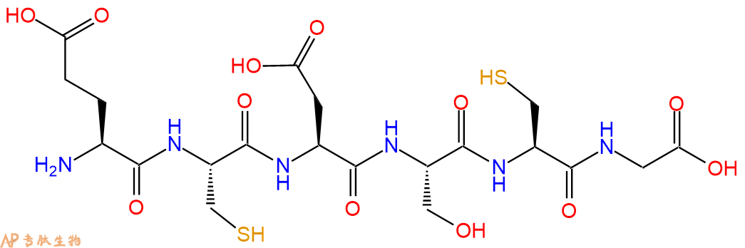 专肽生物产品H2N-Glu-Cys-Asp-Ser-Cys-Gly-COOH