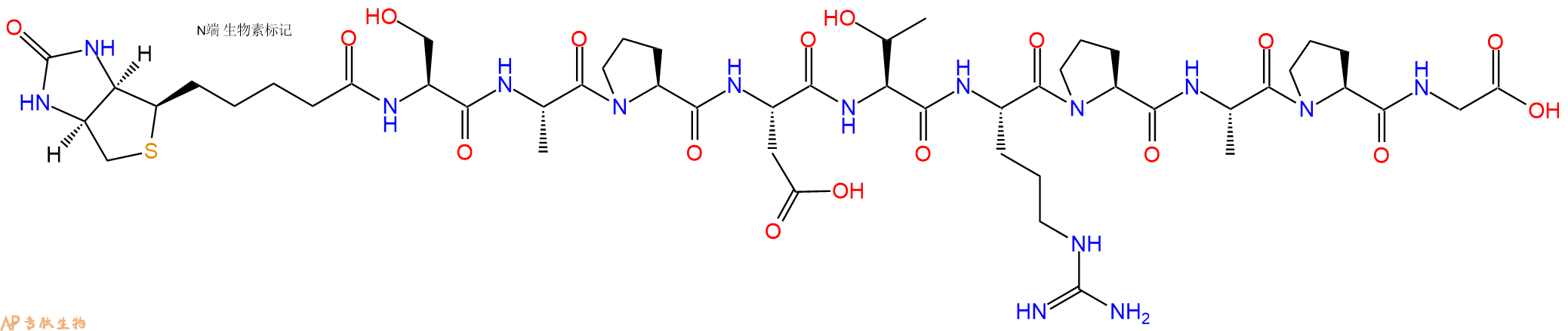 专肽生物产品Biotin-Ser-Ala-Pro-Asp-Thr-Arg-Pro-Ala-Pro-Gly-COOH