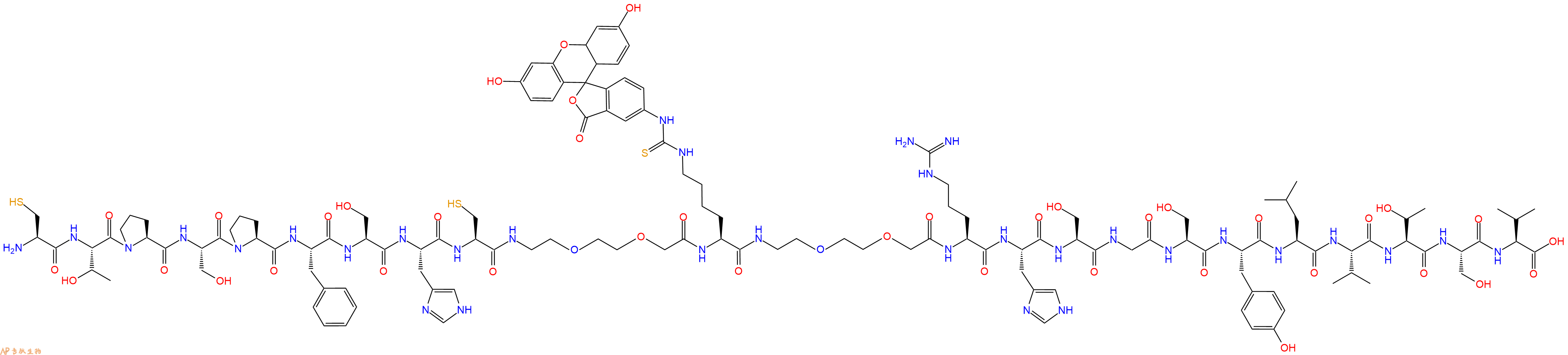专肽生物产品Cys-Thr-Pro-Ser-Pro-Phe-Ser-His-Cys-PEG2-Lys(FITC)-PEG2-Arg-His-Ser-Gly-Ser-Tyr-Leu-Val-Thr-Ser-Val