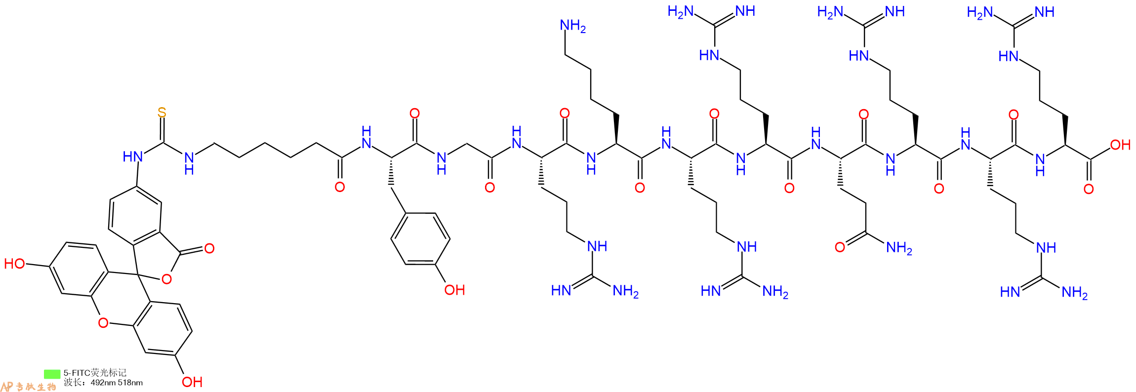 专肽生物产品5FITC-Ahx-Tyr-Gly-Arg-Lys-Arg-Arg-Gln-Arg-Arg-Arg-COOH