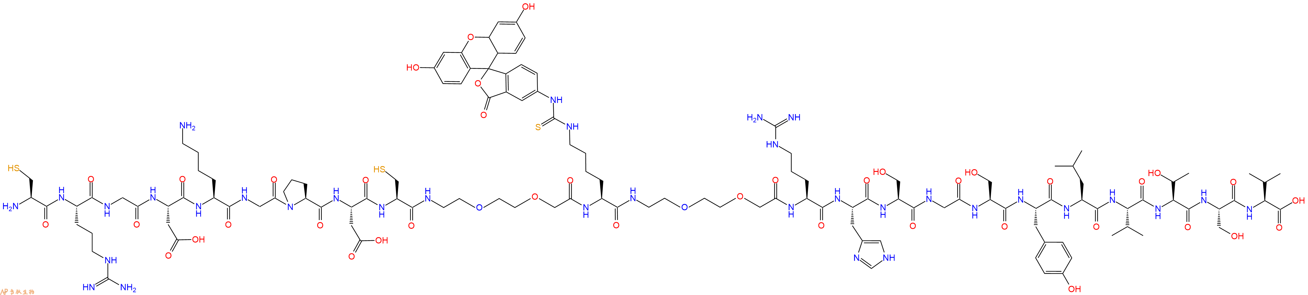 专肽生物产品Cys-Arg-Gly-Asp-Lys-Gly-Pro-Asp-Cys-PEG2-Lys(FITC)-PEG2-Arg-His-Ser-Gly-Ser-Tyr-Leu-Val-Thr-Ser-Val