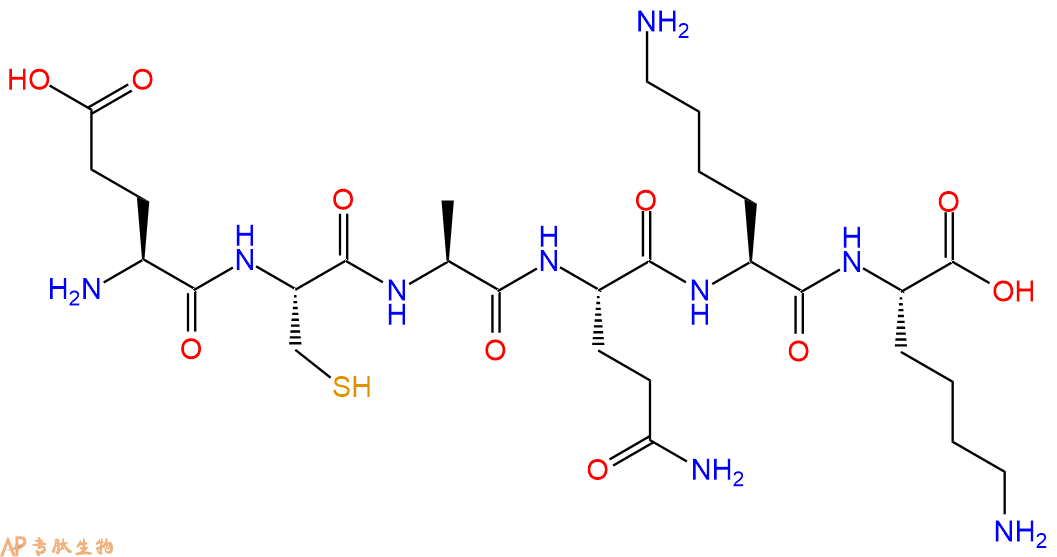 专肽生物产品H2N-Glu-Cys-Ala-Gln-Lys-Lys-COOH