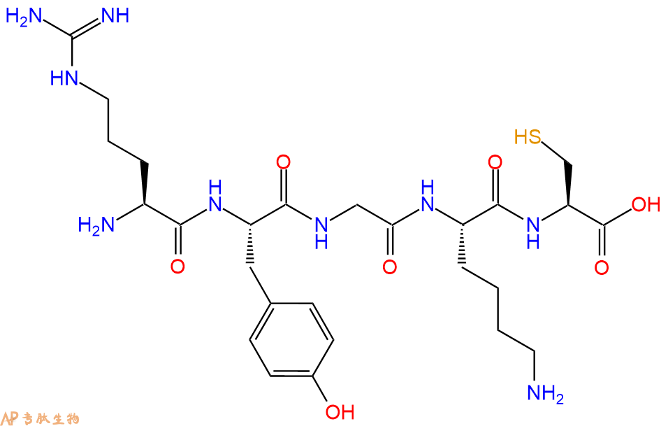 专肽生物产品H2N-Arg-Tyr-Gly-Lys-Cys-COOH