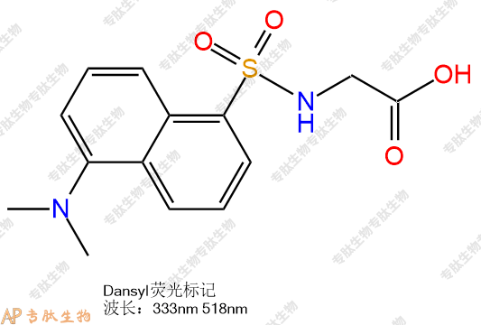 专肽生物产品Dansyl-Gly-COOH