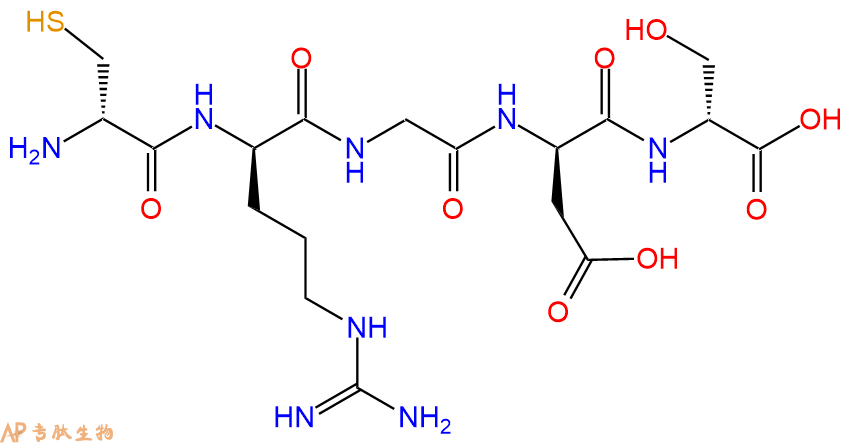 专肽生物产品H2N-DCys-DArg-Gly-DAsp-DSer-COOH